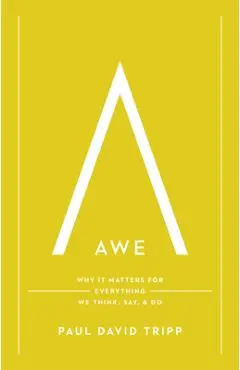 Awe: Why It Matters for Everything We Think, Say, and Do (with Study Questions) - Paul David Tripp