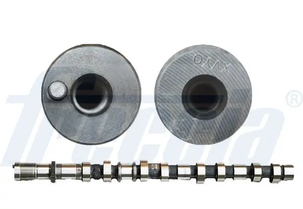 Ax cu came FRECCIA CM05-2300