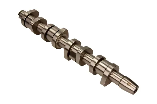 Ax cu came Schaeffler INA 428 0110 10