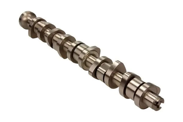 Ax cu came Schaeffler INA 428 0111 10