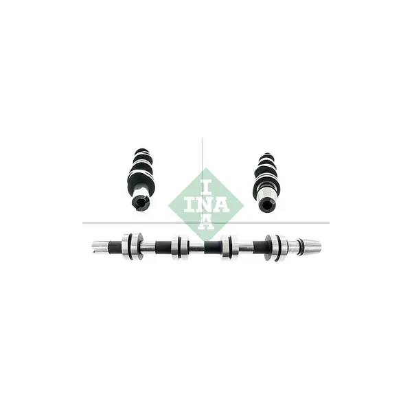 Ax cu came Schaeffler INA 428 0121 10