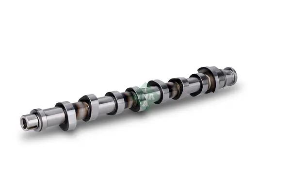 Ax cu came Schaeffler INA 428 0161 10