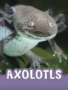 Axolotls, Paperback/Jaclyn Jaycox
