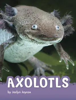 Axolotls, Paperback/Jaclyn Jaycox