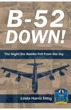 B-52 Down: The Night the Bombs Fell From the Sky - Linda H. Sittig