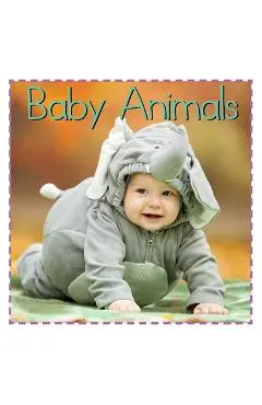 Baby Animals - Addie Vaughters