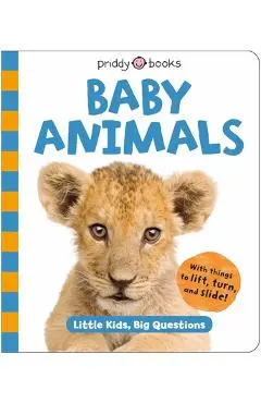 Baby Animals (Little Kids, Big Questions) - Roger Priddy