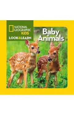 Baby Animals - National Geographic Kids