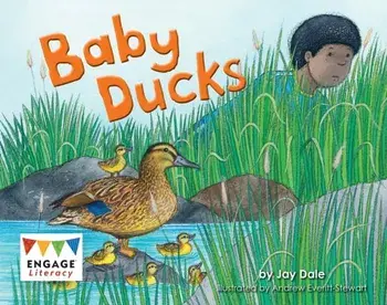 Baby Ducks, Paperback/Jay Dale