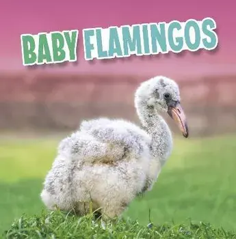 Baby Flamingos, Hardback/Martha E. H. Rustad