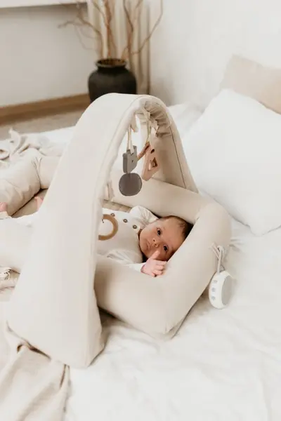 Baby nest modular cu arcada de jucarii si aparat de sunete 4in1 pink Sleepee