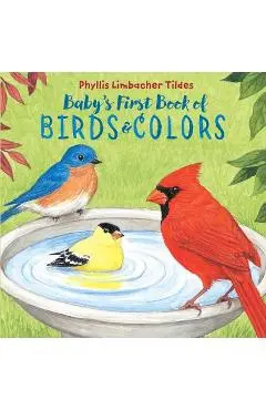 Baby's First Book of Birds & Colors - Phyllis Limbacher Tildes