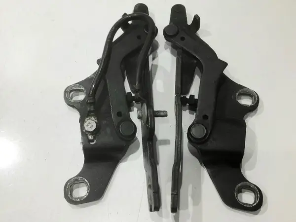 Balama capota stanga si dreapta fata culoare titansilber metallic (354) 7115263 BMW Seria 3 (2006-2012) [E92]