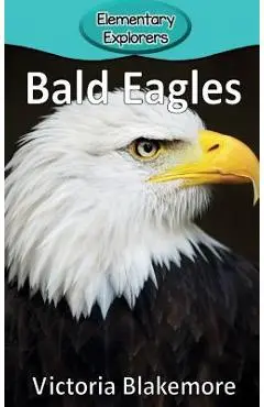 Bald Eagles - Victoria Blakemore