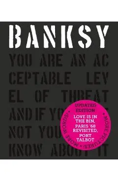 Banksy You Are an Acceptable Level of Threat and If You Were Not You Would Know about It - Patrick Potter