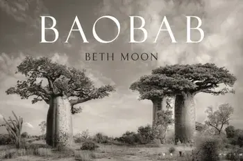 Baobab, Hardback/Beth Moon