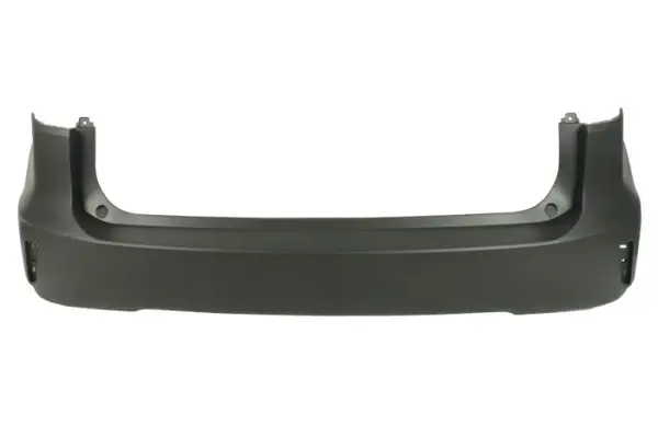Bara spate grund potrivit LEXUS RX AL20 10.15-05.22