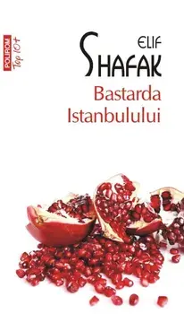 Bastarda Istanbulului (Top 10+)/Elif Shafak