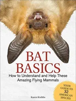 Bat Basics: How to Understand and Help These Amazing Flying Mammals, Paperback/Karen Krebbs