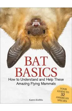 Bat Basics: How to Understand and Help These Amazing Flying Mammals - Karen Krebbs