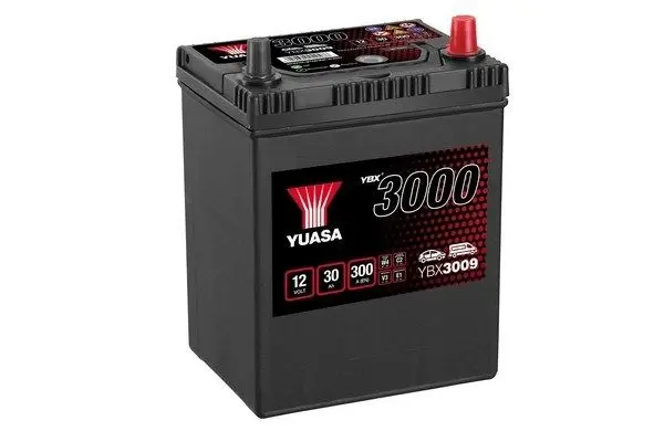 Baterie de pornire YUASA YBX3009 30Ah 12V