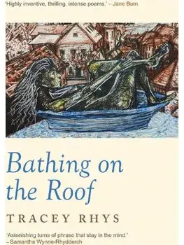 Bathing on the Roof, Paperback/Tracey Rhys