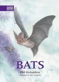 Bats, Hardback/Phil Richardson