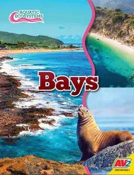 Bays, Library Binding/John Willis