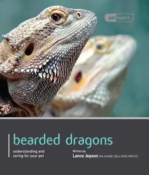 Bearded Dragon, Paperback/Lance Jepson