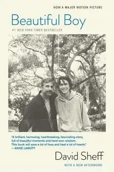 Beautiful Boy (Tie-In): A Father's Journey Through His Son's Addiction, Paperback/David Sheff