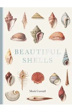 Beautiful Shells: George Perry's Conchology - Mark Carnall