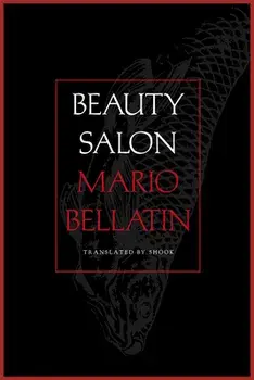 Beauty Salon, Paperback/Mario Bellatin