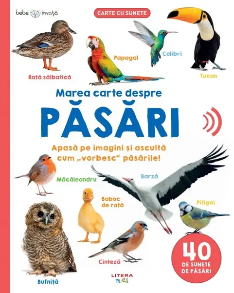 Bebe invata. Marea carte despre pasari. 40 de sunete de pasari