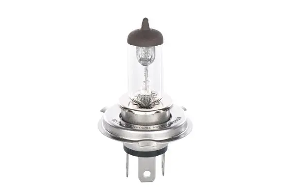 Bec incandescent BOSCH Trucklight H4 24V 1 987 302 441