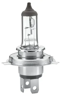 Bec incandescent HELLA Heavy Duty H4 24V 8GJ 002 525-251