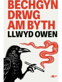 Bechgyn Drwg Am Byth, Paperback/Llwyd Owen