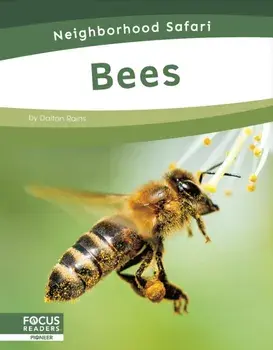 Bees, Hardback/Dalton Rains