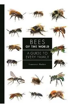Bees of the World: A Guide to Every Family - Laurence Packer