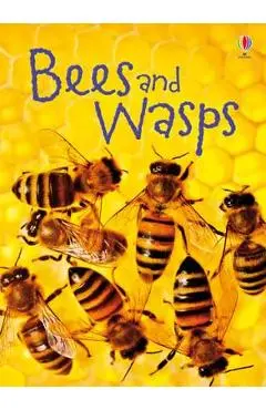 Bees & Wasps