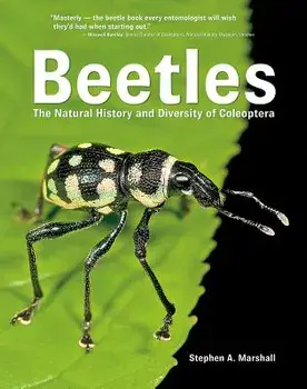 Beetles: The Natural History and Diversity of Coleoptera, Hardcover/Stephen Marshall