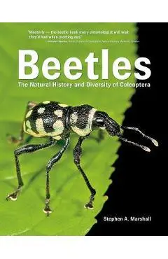 Beetles: The Natural History and Diversity of Coleoptera - Stephen Marshall
