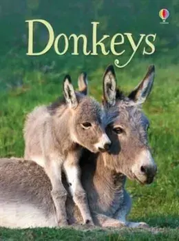 Beginners Donkeys, Hardcover/James Maclaine