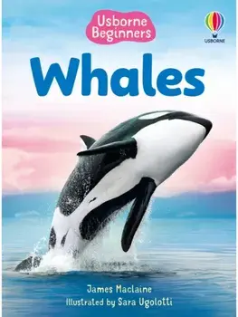 Beginners Whales, Hardback/James Maclaine