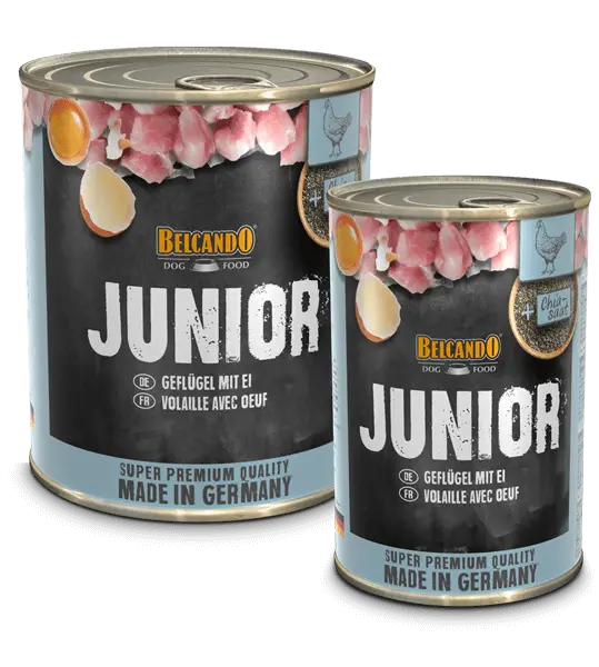 Belcando Conserva Junior Pasare/Oua 800 g