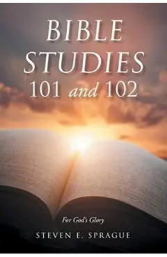 Bible Studies 101 and 102 - Steven Sprague