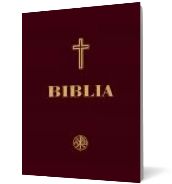 Biblia (Ediţie a Sfântului Sinod) (Format A4)