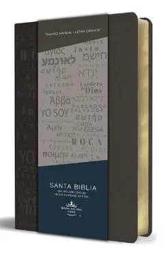 Biblia Rvr 1960 Letra Grande Tamaño Manual, Simil Piel Gris Con Nombres de Dios / Spanish Bible Rvr 1960 Handy Size Large Print Leathersoft Grey, Name - Reina Valera Revisada 1960