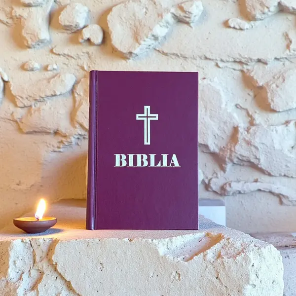 Biblia Sfântă a Credinței - Default Title