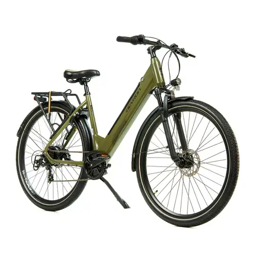 Bicicleta Electrica Devron 28426RM, roti 28 Inch, cadru L, viteza maxima 25 km/h, motor 250 W, Verde