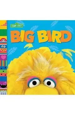 Big Bird (Sesame Street Friends) - Andrea Posner-sanchez